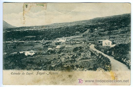 Cartoline: A&Ccedil;ORES, PORTUGAL, ESTRADA DO CAPEL, FAYAL,     P27936