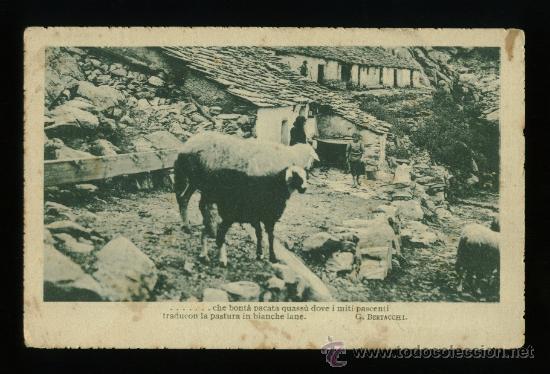 Postais: Postal antigua Italiana - G. Bertacchi - Circulada 1917