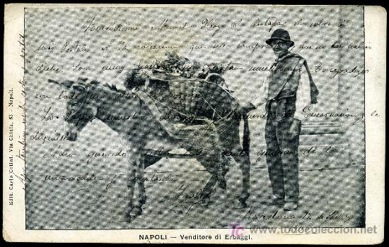 Postais: NAPOLES : Carlo Cotini - Venditore di Erbaggi (Reverso sin Partir - Anterior a 1905) Costumbrista