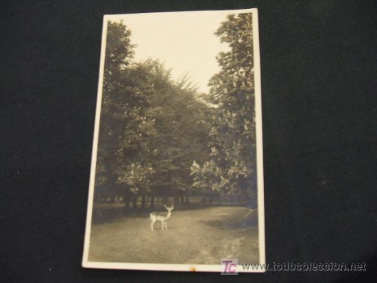 Postkarten: TIARGARTEN HANNOVER  KIRCHRODE -
