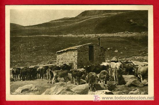 Postais: ANDORRA , PAS DE LA CASA ,  P38175