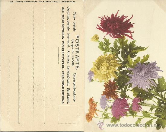 Postcards: FARBENLICHTDRUCK V MARTIN ROMMEL HOFKUNDSTANSTALT STUTTGART 505 FLORES