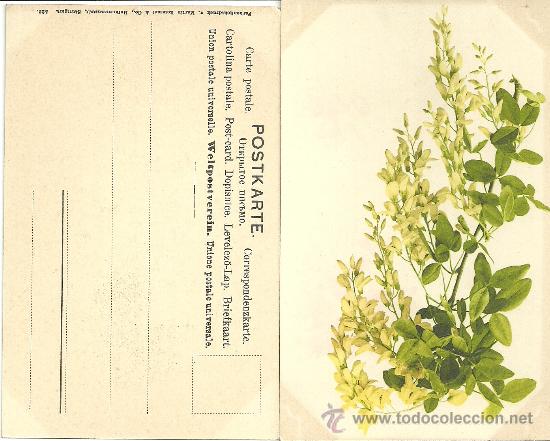 Postais: FARBENLICHTDRUCK V MARTIN ROMMEL HOFKUNDSTANSTALT STUTTGART 508 FLORES