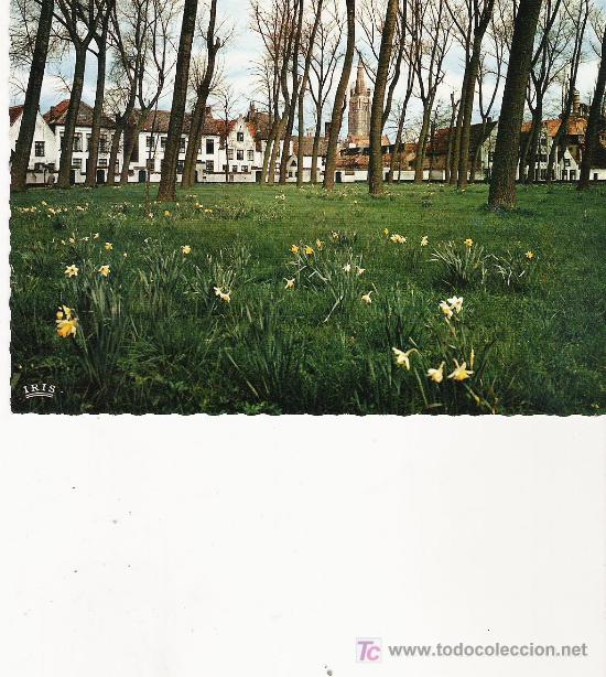 Postales: BRUGGE - Foto 1