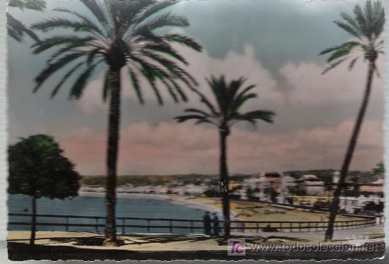 Postkarten: Nice,- Le quai des Etats-Unis.