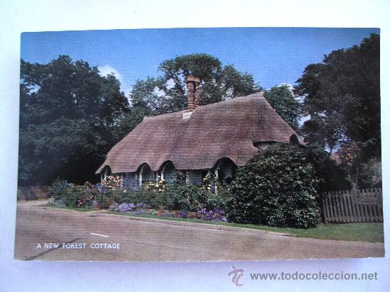 Cartoline: postal inglesa:  new forest cottage , salmon series 2242c (sin circular,  a&ntilde;os 60 aprox)
