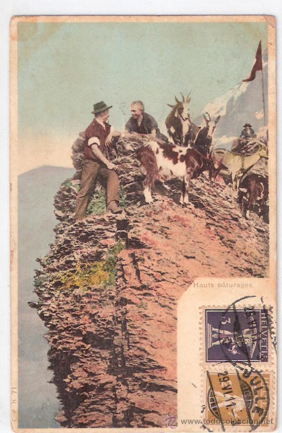 Postkarten: TARJETA POSTAL. SUIZA. HAUTS PATURAGES. N&ordm; 71. C. P. N.