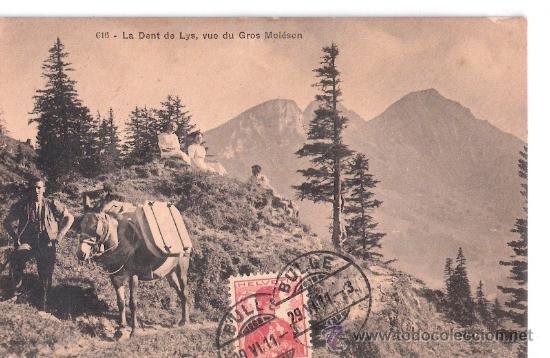 Postkarten: TARJETA POSTAL. SUIZA. LA DENT DE LYS, VUE DU GROS MOLESON. N&ordm; 616. LIBR. CH. MOREL.