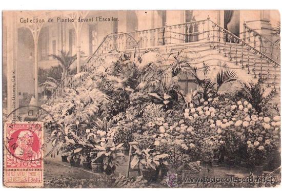 Postkarten: TARJETA POSTAL. BELGICA. COLLECTION DE PLANTES DEVANT L ESCALIER.