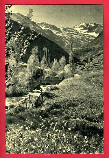 Postkarten: andorra, la florida de les grandalles,      p50199