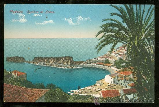 Postcards: TARJETA POSTAL DE PORTUGAL. MADEIRA. CAMARA DE LOBOS.