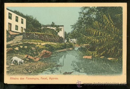 Postcards: TARJETA POSTAL DE PORTUGAL. AZORES. RIBEIRA DOS FLAMENGOS, FAYAL, ACORES.