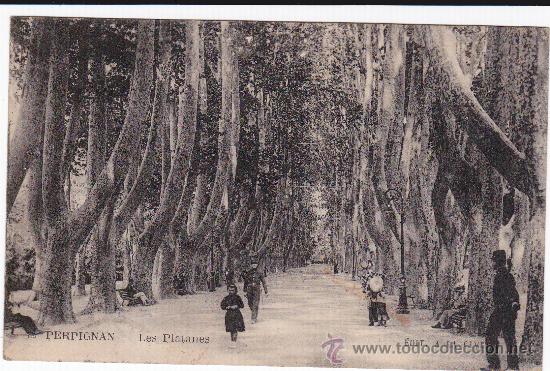 Postales: Perpignan - Les Platanes - Foto 1