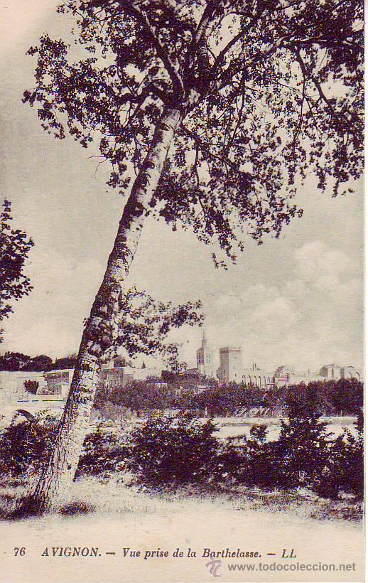 Postales: avignon - vue prise de la barthelasse - Foto 1