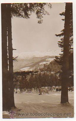 Cartes Postales: PEIRA CAVA (AM). ALT. 1500 M. (SPORTS D'HIVER). ALTITUDE, WINTER SPORT.