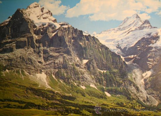 Postales: POSTAL GRINDELWALD. SIN CIRCULAR - Foto 1