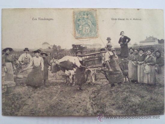 Postales: TARJETA POSTAL, FRANCIA, VENDIMIANDO, - Foto 1