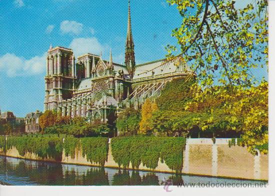 PARIS. CATEDRAL NOTRE DAME