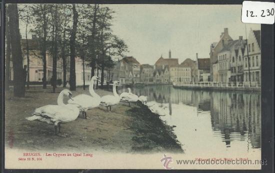 Postales: BRUGES - LES CYGNES AU QUAI LONG - SERIE11 - N&ordm; 104 - EDITEUR ALBERT SUGG - (12.230)