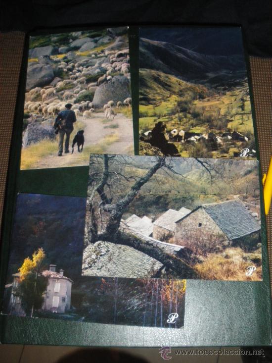 Cartoline: 4 POSTALES PRESTIGE CEVENNES DEL FOTOGRAFO DANIEL FAURE. CURIOSIDAD.
