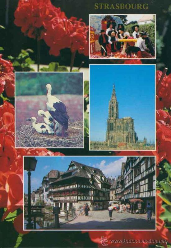 Postales: Postal - Strasbourg - Francia - Foto 1