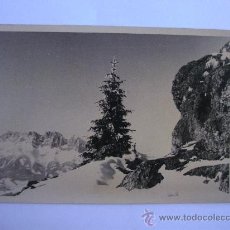 Postales: FOTO POSTAL DE ALEMANIA: KITZBÜHEL, 1953 (REVERSO CON PEGAMENTO DEL ALBUM, SIN EDITOR). Lote 37086553