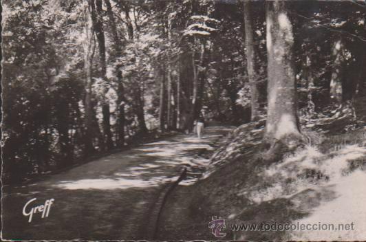 Postkarten: Bagnoles-de-L&acute;Horne.- Dans le Parc.Franqueado