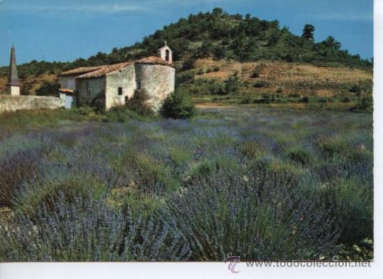 Postales: LA PROVENCE . CHAMP DE LAVANDE - Foto 1