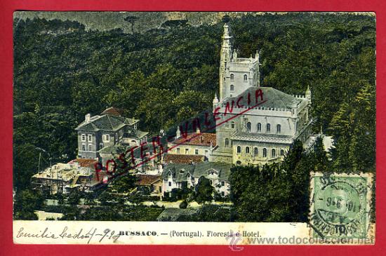 Postales: POSTAL BUSSACO, PORTUGAL, FLORESTA E HOTEL,   P79190