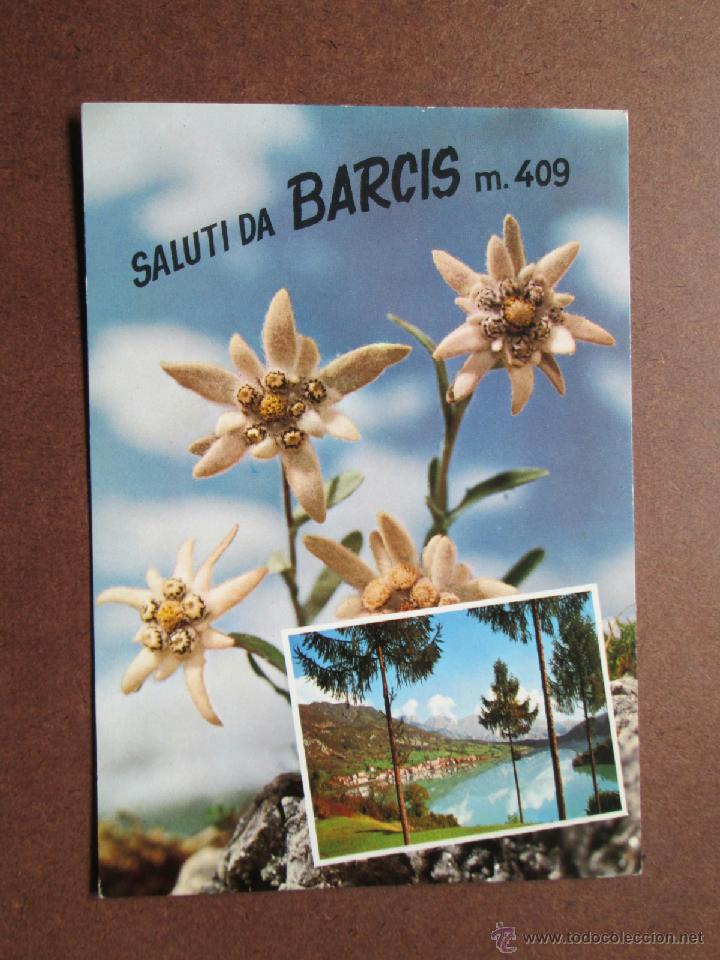 SALUTI DA BARCIS m.409