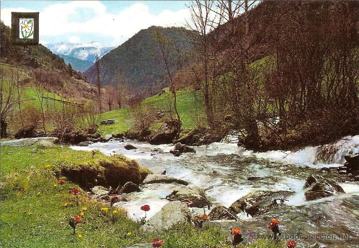 Postcards: VALLS D'ANDORRA, VALL D'ARINSAL I RIU ARINSAL - ESCUDO DE ORO N&ordm; 196 - SIN CIRCULAR