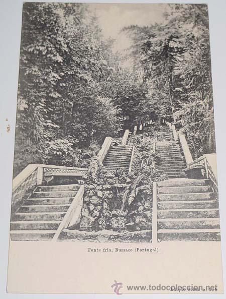 Postales: ANTIGUA POSTAL BUSSACO - FUENTE FRIA - NO CIRCULADA - ED. COSTA.