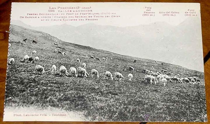Cartoline: ANTIGUA POSTAL DEL VALLE DE ANDORRA - 3&ordf; SERIE - N. 1005 - ED. LABOUCHE - NO CIRCULADA.