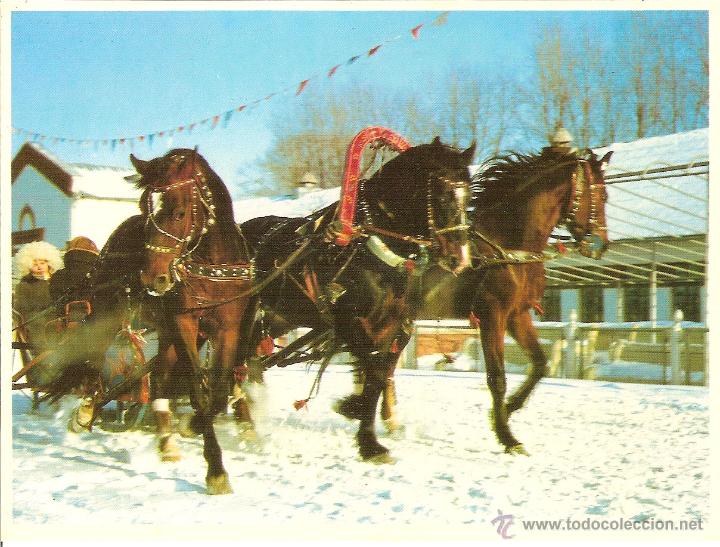 Postcards: MOSCU (RUSIA), LA FIESTA INVIERNO RUSO LLEG&Oacute; A LA EXPOSICI&Oacute;N - SIN CIRCULAR