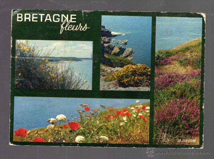 Postcards: FLORES BRETONAS JUNTO AL MAR &middot; CIRCULADA