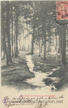 Postales: La Foret de Charance. Franqueado y fechado en Gap en 1903.