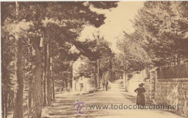 Postais: Thorenc.- Avenue de la For&eacute;t.