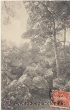 Postais: Fontainebleau.- la For&eacute;t. Franqueado y fechado en 1905.