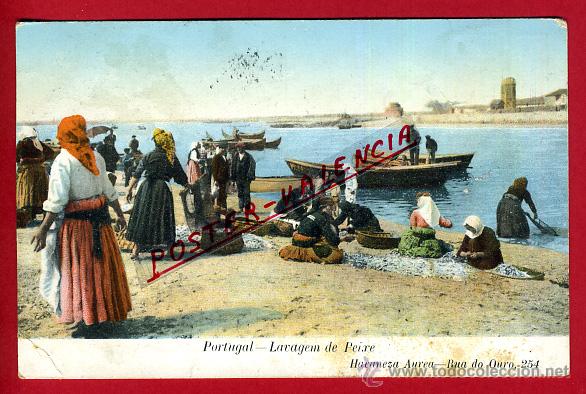 Cartes Postales: POSTAL LUZ, PORTUGAL, LAVAGEM DE PEIXE, P93560