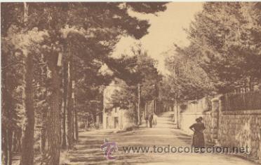 Postales: Thorenc.- Avenue de la For&eacute;t. - Foto 1