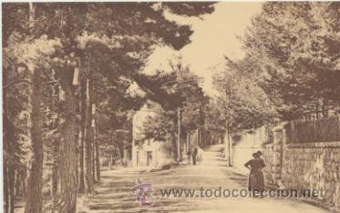 Postales: Thorenc.- Avenue de la For&eacute;t. - Foto 1