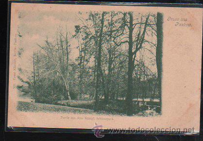 Postkarten: TARJETA POSTAL DE BERLIN - GRUSS AUS PANKOW. PARTIE AUS DEM KONIGL. SCHOLOSSPARK
