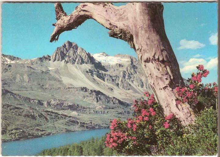 Postcards: BEI MALOJA, GRISONS (SUIZA), Silsersee und Piz Lagrev - VERLAG HANS STEINER - SIN CIRCULAR