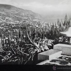 Cartes postales de Madère (Pico do Areeiro, Funchal, Santana Cartes postales de Madère (Pico do Areeiro, Funchal, Santana