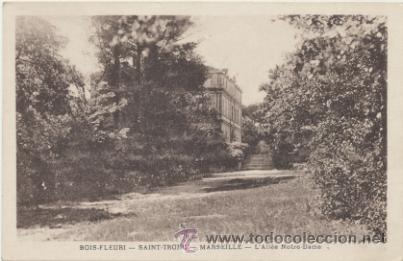 Postales: Bois - Fleuri. Marseille. - Foto 1