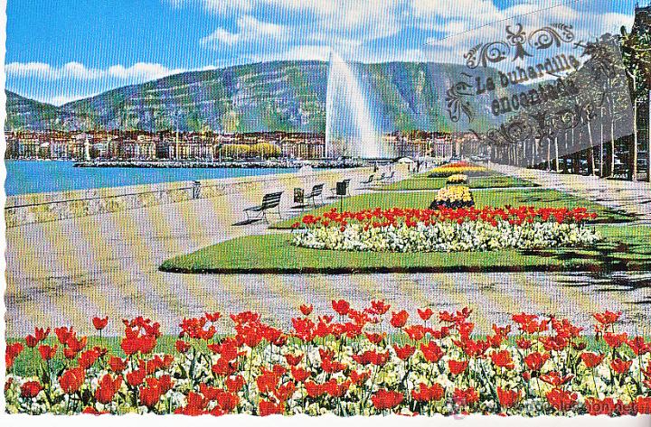 Postales: POSTAL - SUIZA - GINEBRA - MUELLE WILSON Y CHORRO DE AGUA - EDITIONS G. D'AGUANNO GENEVE