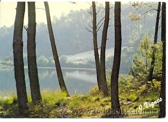 Postales: 7-fra785. Postal Francia. Visaje des Landes. Paisaje