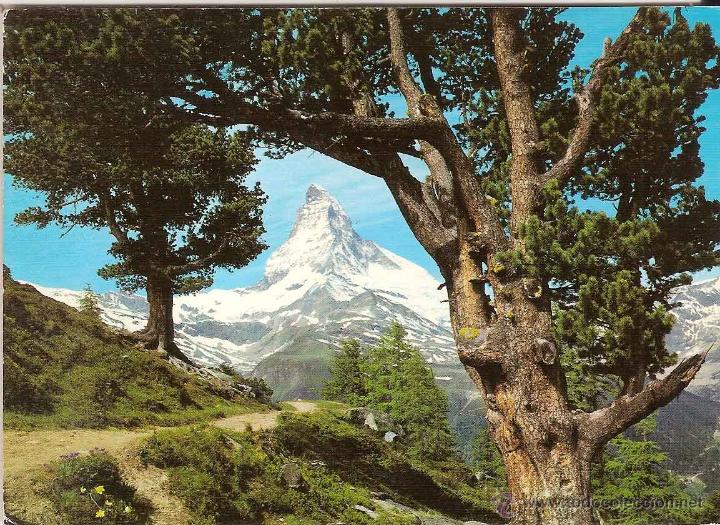 Postcards: EL CERVINO, ALPES SUIZOS - WEHRLI N&ordm; 5467 - CIRCULADA SIN SELLO