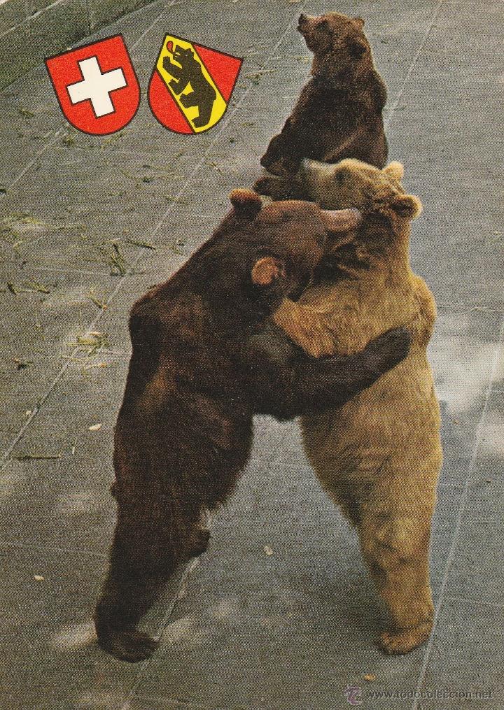 Postales: N&ordm; 18403 POSTAL BERN SUIZA - Foto 1
