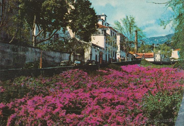 Postkarten: N&ordm; 19974 POSTAL MADEIRA PORTUGAL